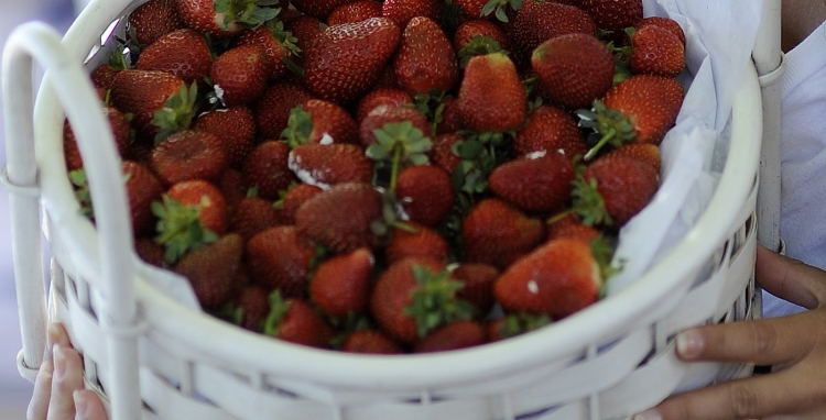 Food &amp; Produce