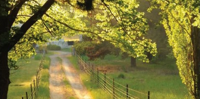 Relaxing Escapes