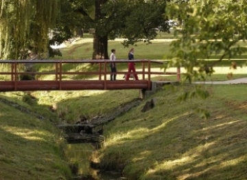 Cool Climate<div>Gardens</div>