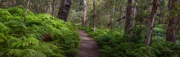 World Heritage National Parks