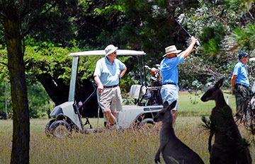 Golf