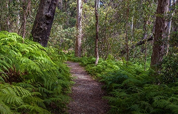 National Parks