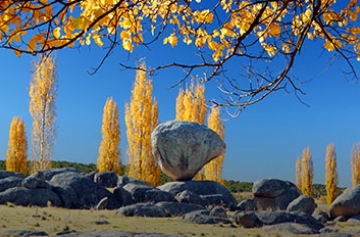Four Seasons