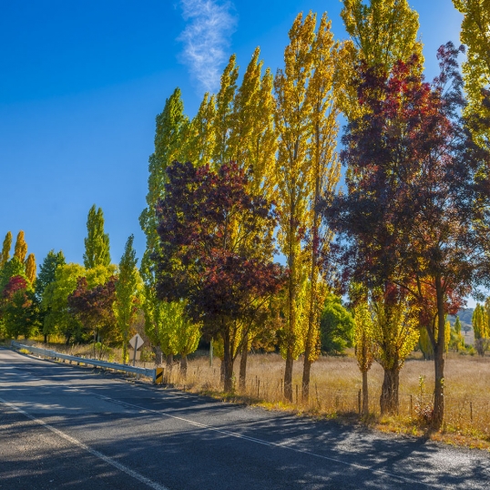 Glen Innes Highlands Glen Innes Highlands