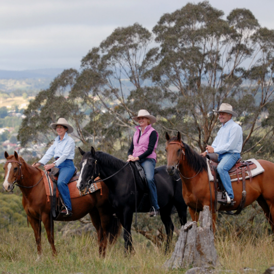 Glen Innes Highlands Glen Innes Highlands