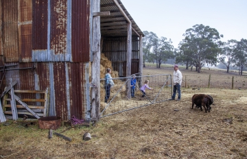 Farm Stay <div>Accommodation</div>