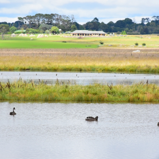 Glen Innes Highlands Glen Innes Highlands