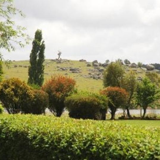 Glen Innes Highlands Glen Innes Highlands