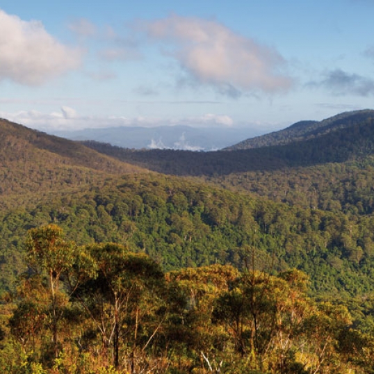 Glen Innes Highlands Glen Innes Highlands