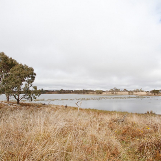 Glen Innes Highlands Glen Innes Highlands