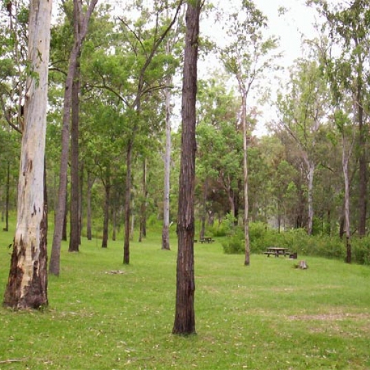 Glen Innes Highlands Glen Innes Highlands