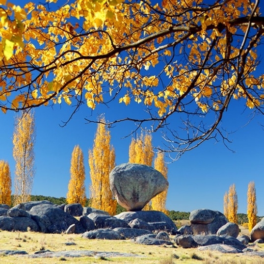 Glen Innes Highlands Glen Innes Highlands