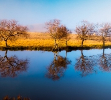 Nature &amp; Wildlife
