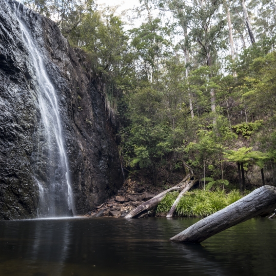 Glen Innes Highlands Glen Innes Highlands