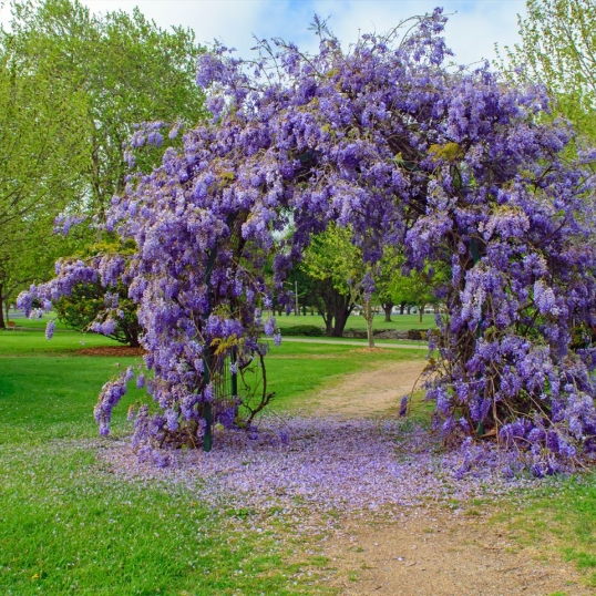 Four Seasons | Glen Innes Highlands