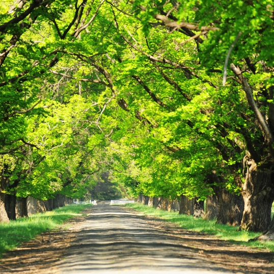 Glen Innes Highlands Glen Innes Highlands