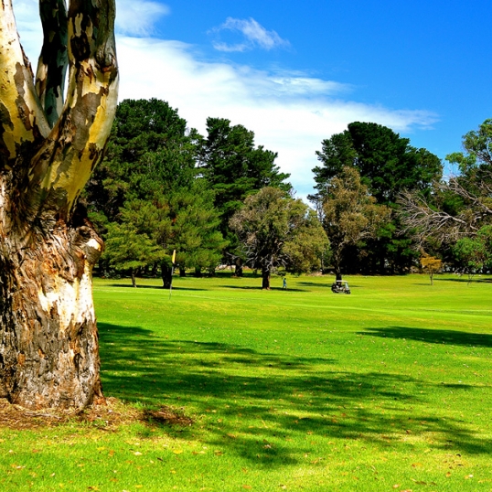 Glen Innes Highlands Glen Innes Highlands
