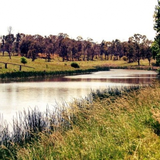 Glen Innes Highlands Glen Innes Highlands