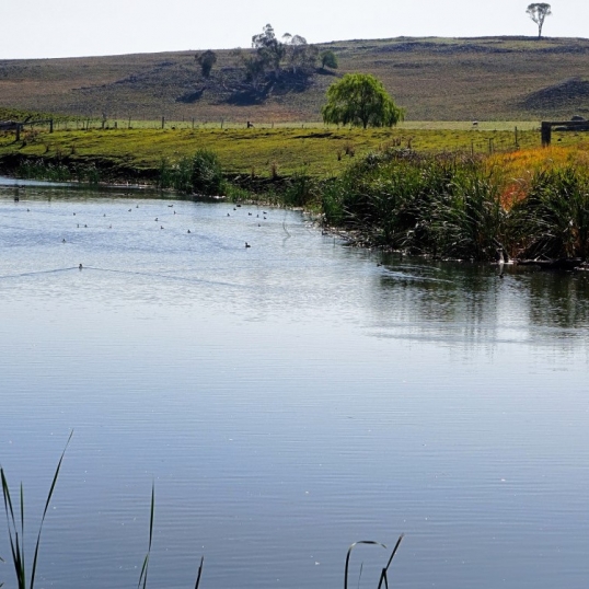 Glen Innes Highlands Glen Innes Highlands