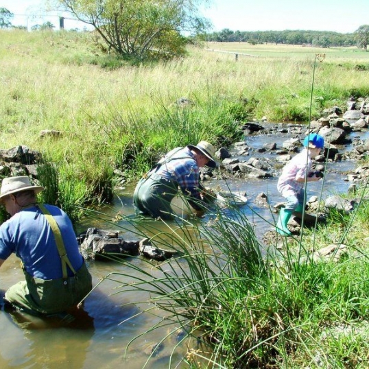 Glen Innes Highlands Glen Innes Highlands