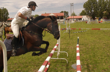 Glen Innes Show