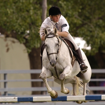 Glen Innes Show