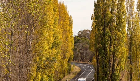 Glen Innes Highlands Glen Innes Highlands