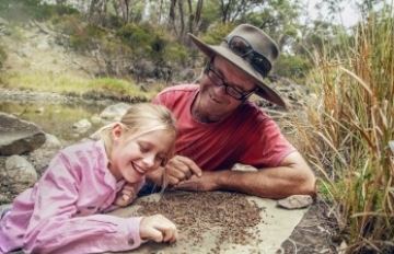 Fossicking
