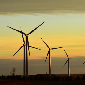 Renewable Energy&nbsp;<div>Experience</div>