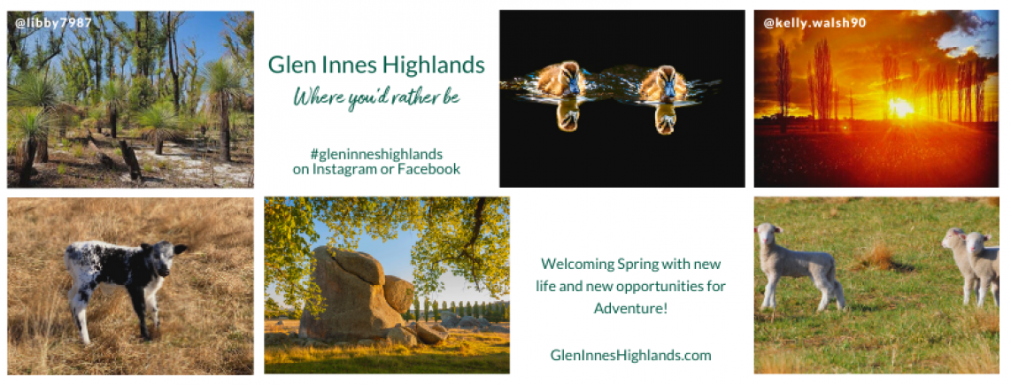 Glen Innes Highlands Glen Innes Highlands