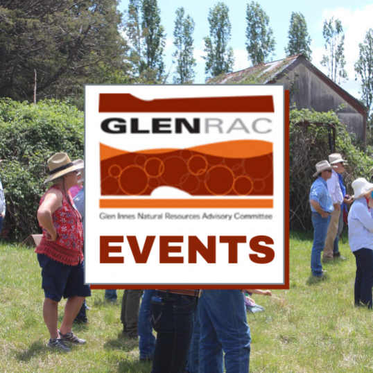 Glen Innes Highlands Glen Innes Highlands