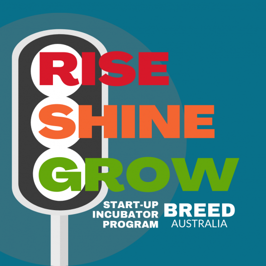BREED - Local Start-Up Incubator