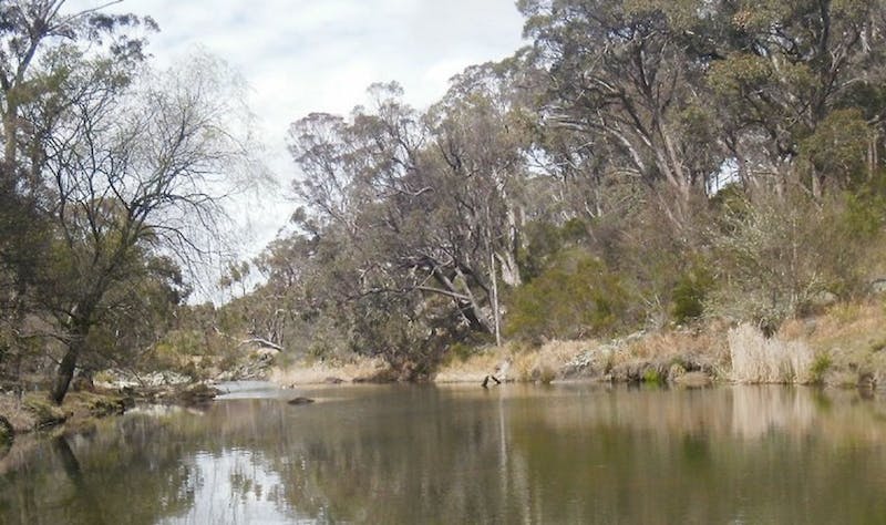 Glen Innes Highlands Glen Innes Highlands