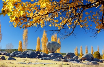 Climate<a href="" class="white"></a>