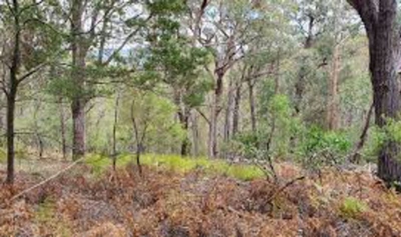 Glen Innes Highlands Glen Innes Highlands