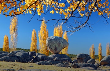 Four Seasons