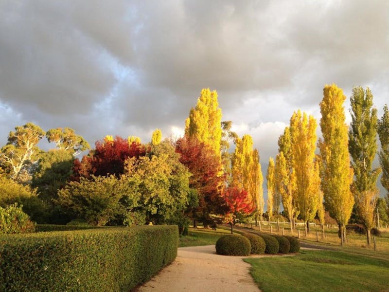 Glen Innes Highlands Glen Innes Highlands