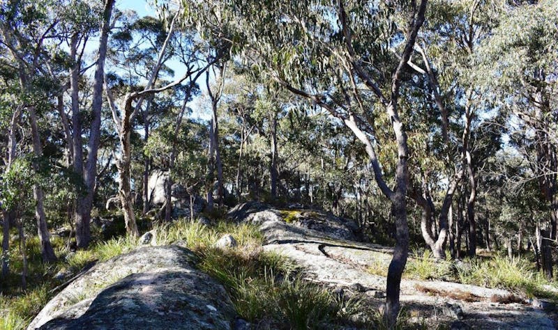 Glen Innes Highlands Glen Innes Highlands