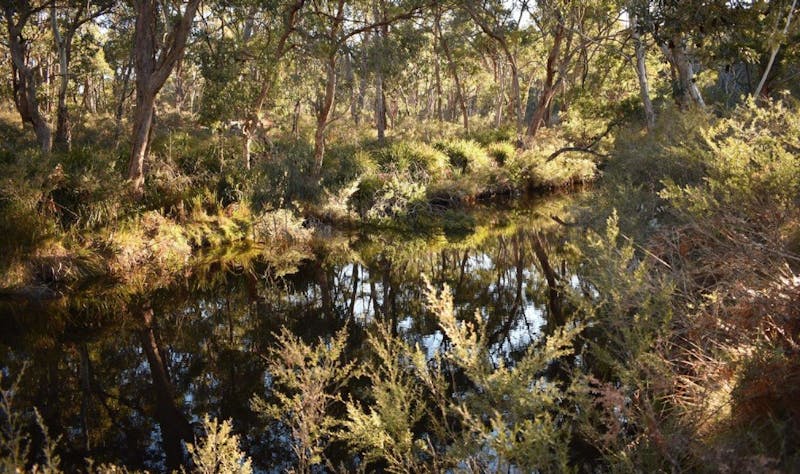 Glen Innes Highlands Glen Innes Highlands
