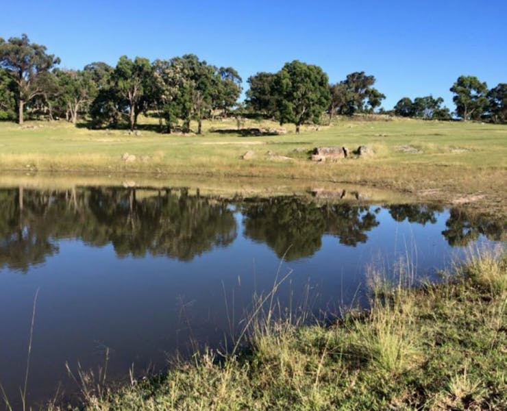 Glen Innes Highlands Glen Innes Highlands