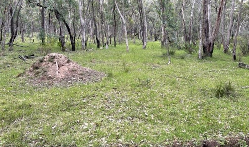 Glen Innes Highlands Glen Innes Highlands