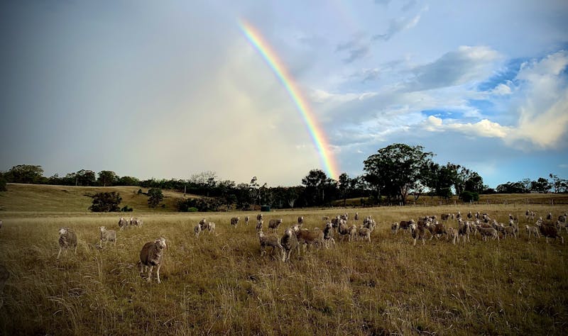 Glen Innes Highlands Glen Innes Highlands
