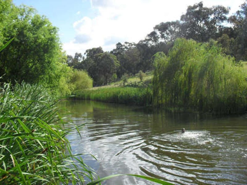 Glen Innes Highlands Glen Innes Highlands