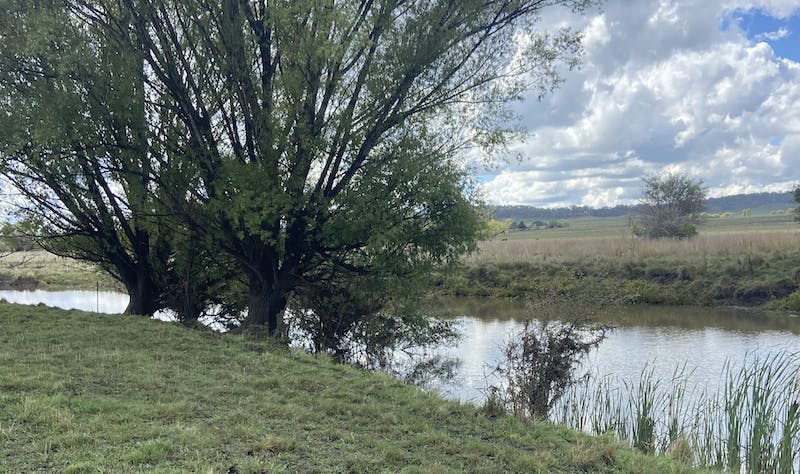 Glen Innes Highlands Glen Innes Highlands